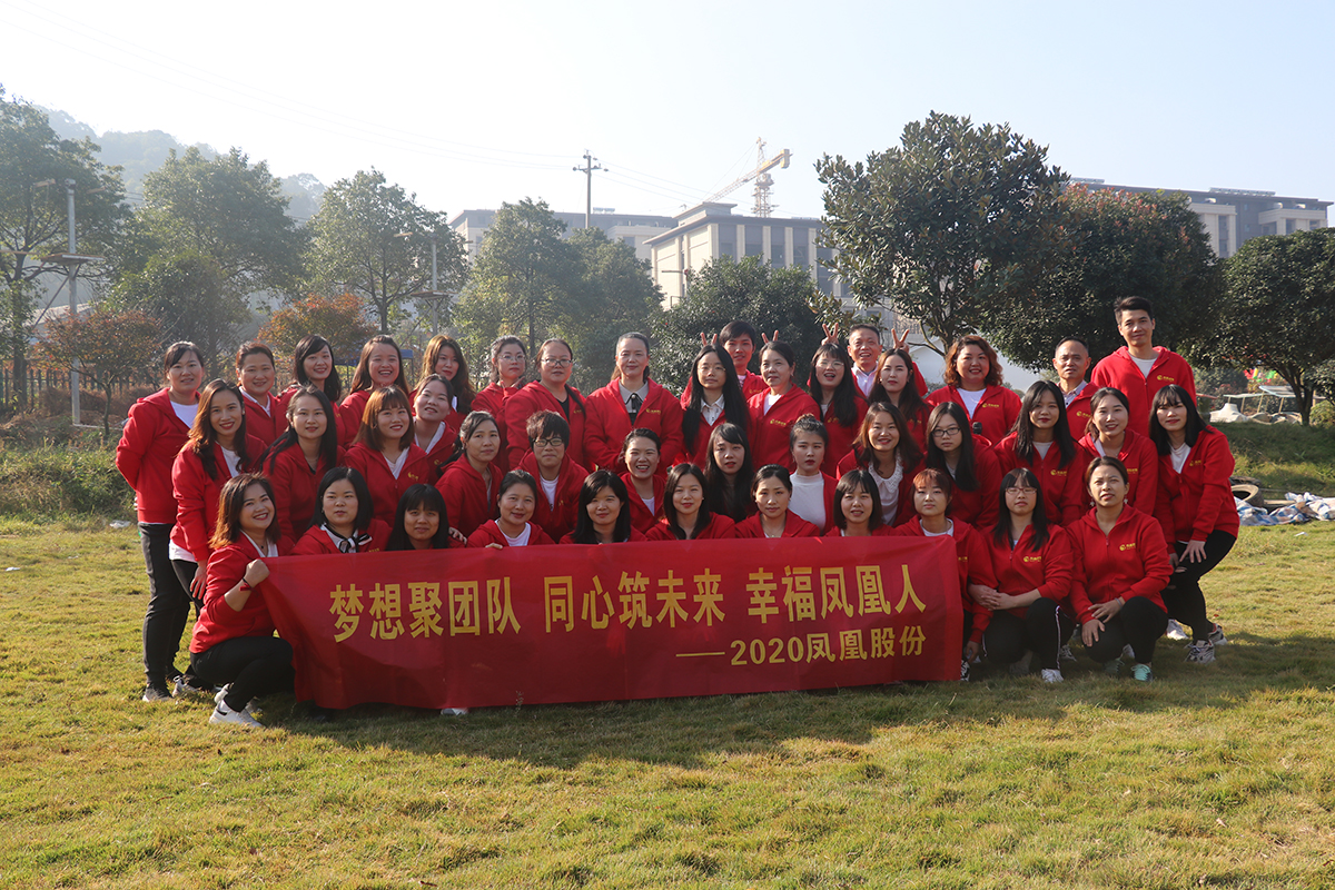2020年开门红启动 梦想聚团队 同心筑未来 幸福凤凰人